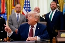 What animals will Trump say in July?
