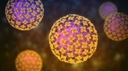 Hantavirus pandemic in 2026?
