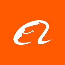 Will Alibaba have the best Chinese AI model at the end of July 2026?